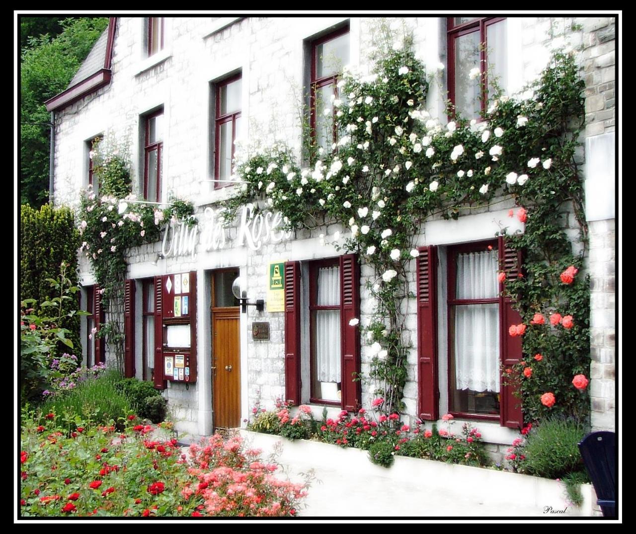 La Des Roses Hotel 3*